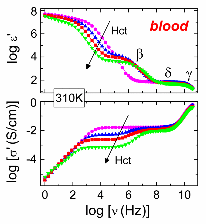 dielectric spectra of blood