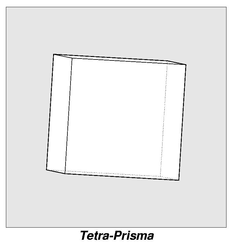 Rundflug Tetra-Prisma 0011