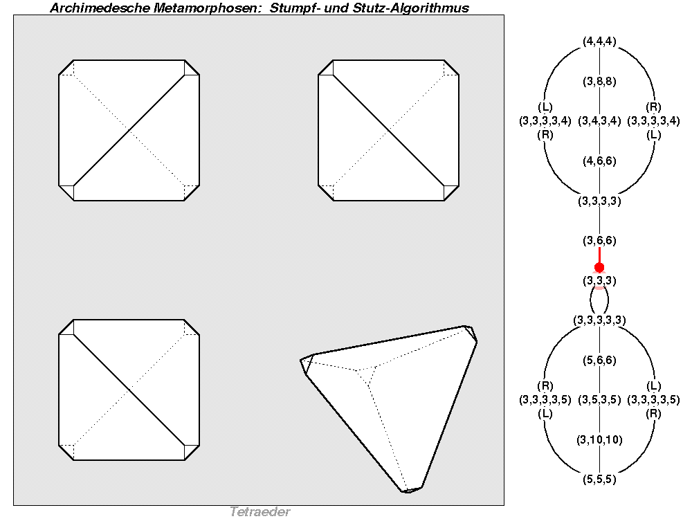 Archimedesche Metamorphosen: Stumpf- und Stutz-Algorithmus (0021)
