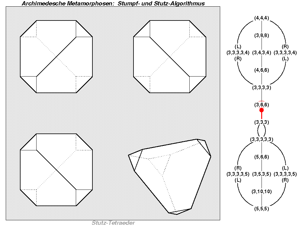 Archimedesche Metamorphosen: Stumpf- und Stutz-Algorithmus (0031)