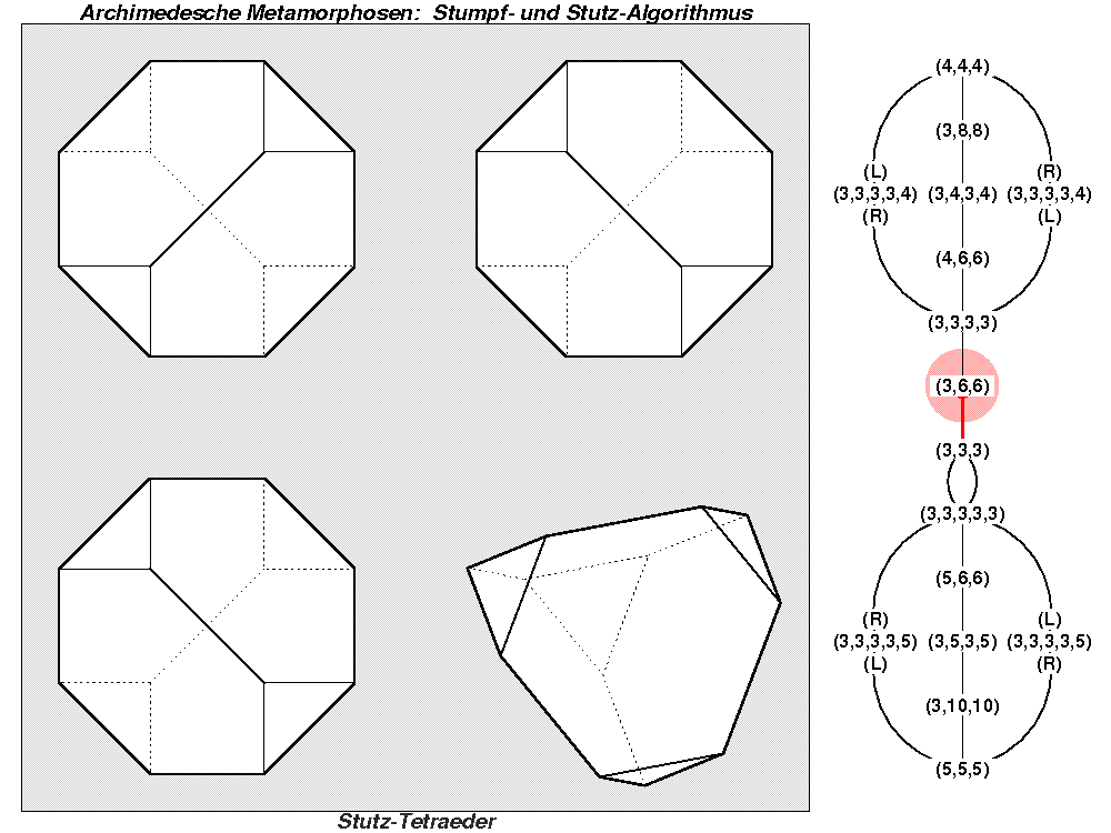 Archimedesche Metamorphosen: Stumpf- und Stutz-Algorithmus (0041)