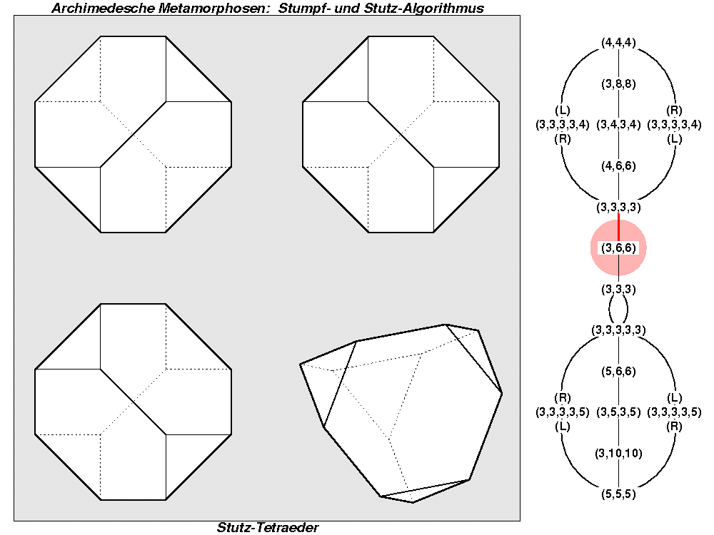 Archimedesche Metamorphosen: Stumpf- und Stutz-Algorithmus (0051)