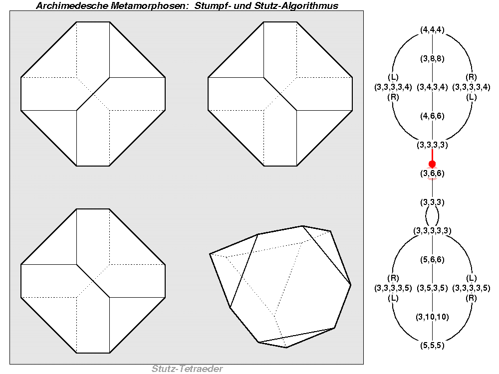 Archimedesche Metamorphosen: Stumpf- und Stutz-Algorithmus (0071)