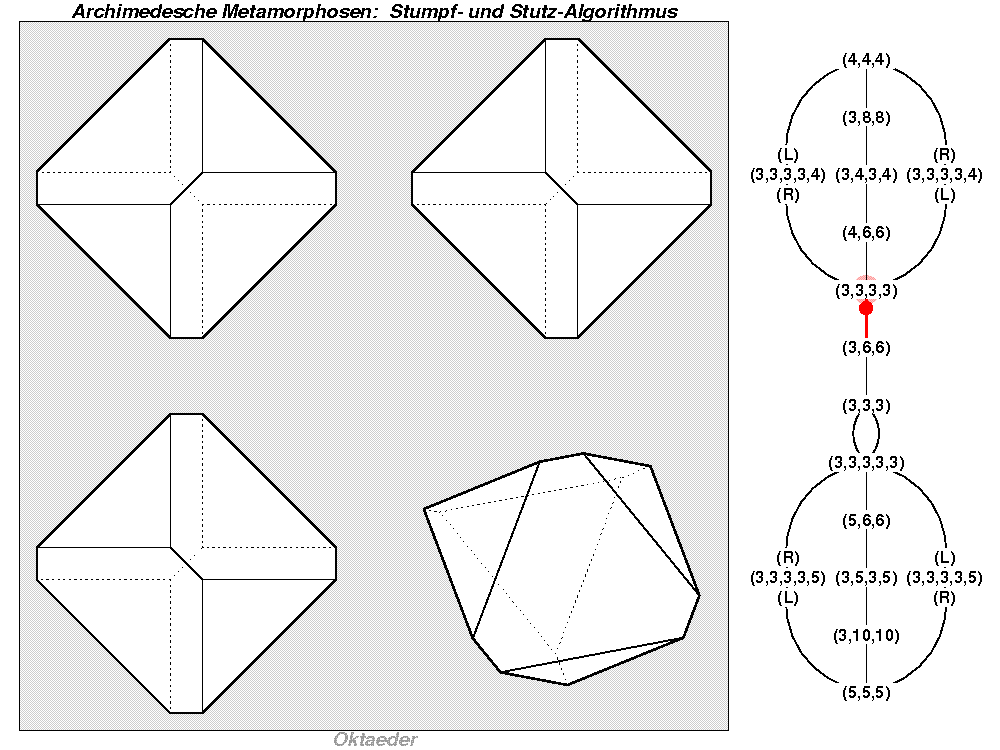 Archimedesche Metamorphosen: Stumpf- und Stutz-Algorithmus (0081)