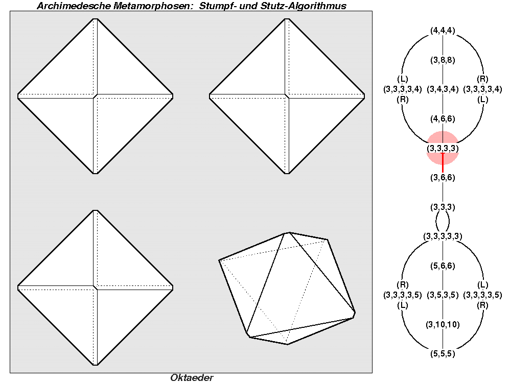 Archimedesche Metamorphosen: Stumpf- und Stutz-Algorithmus (0091)