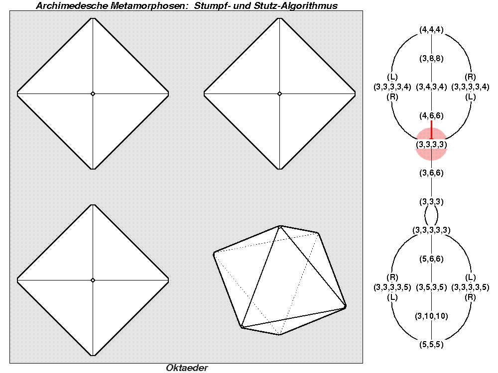 Archimedesche Metamorphosen: Stumpf- und Stutz-Algorithmus (0111)