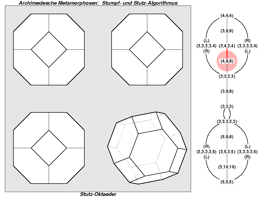 Archimedesche Metamorphosen: Stumpf- und Stutz-Algorithmus (0151)