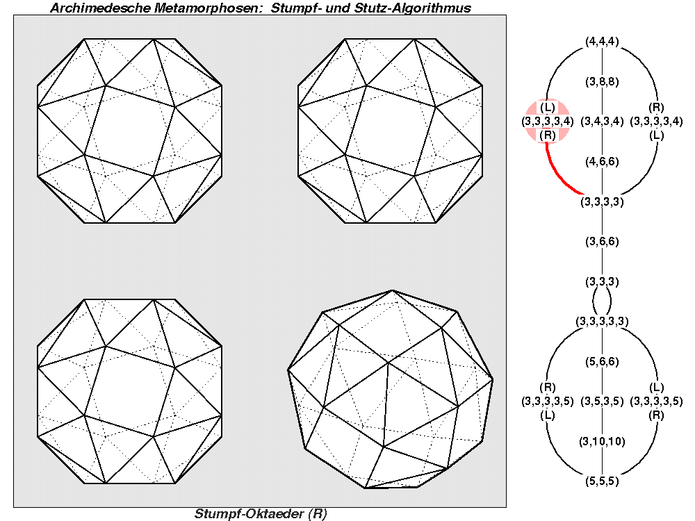 Archimedesche Metamorphosen: Stumpf- und Stutz-Algorithmus (0362)