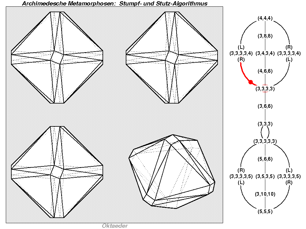 Archimedesche Metamorphosen: Stumpf- und Stutz-Algorithmus (0382)