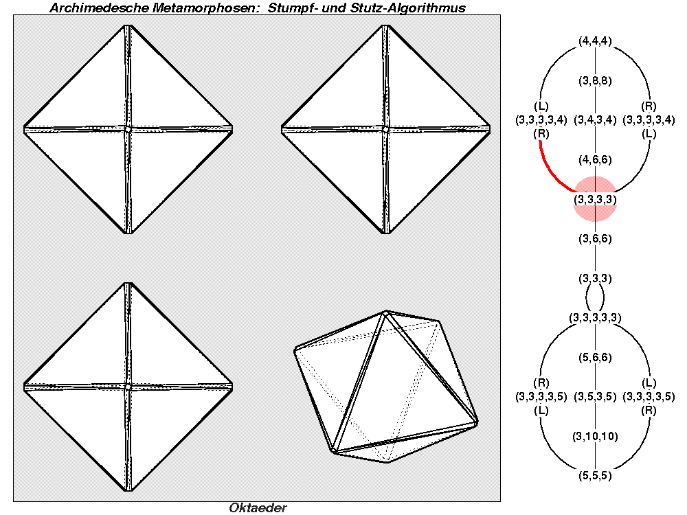 Archimedesche Metamorphosen: Stumpf- und Stutz-Algorithmus (0392)