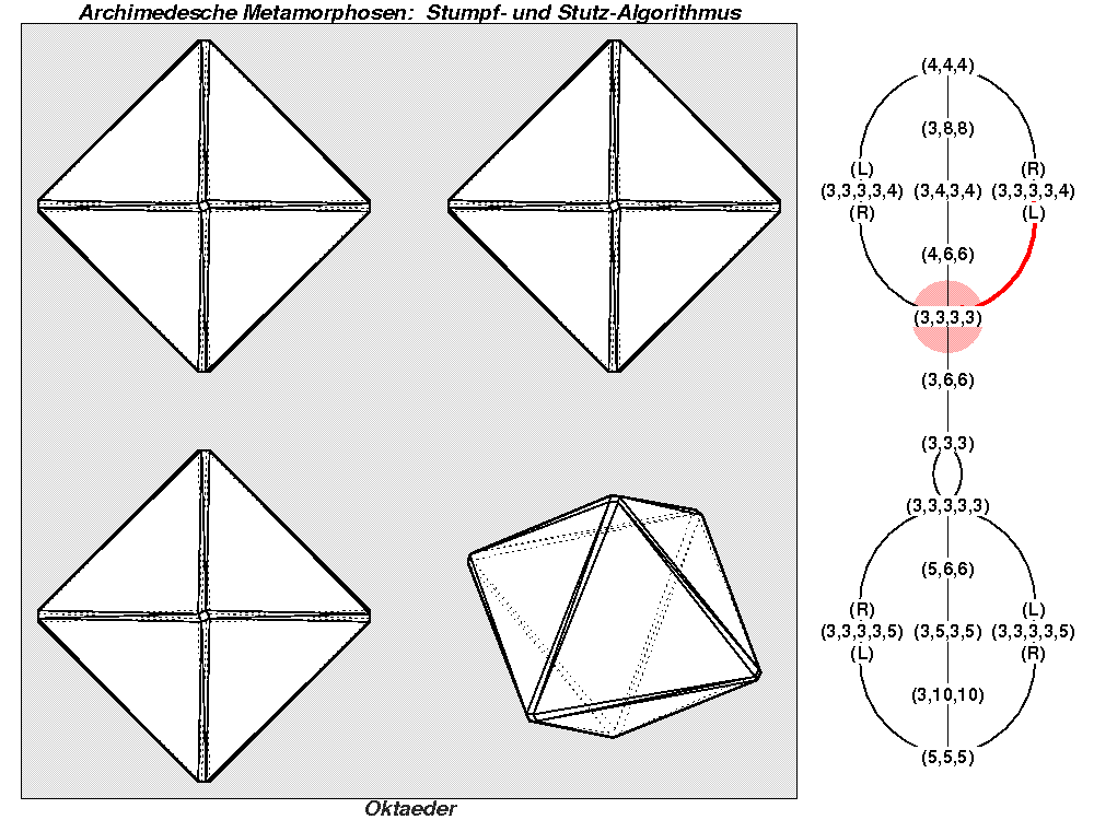 Archimedesche Metamorphosen: Stumpf- und Stutz-Algorithmus (0412)