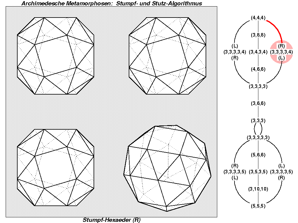 Archimedesche Metamorphosen: Stumpf- und Stutz-Algorithmus (0453)