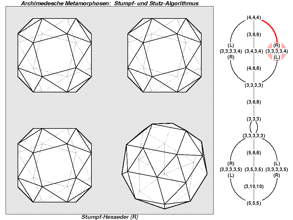 Archimedesche Metamorphosen: Stumpf- und Stutz-Algorithmus (0463)