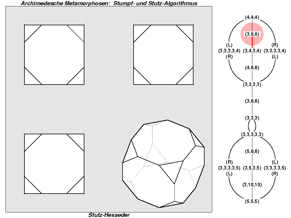 Archimedesche Metamorphosen: Stumpf- und Stutz-Algorithmus (0553)