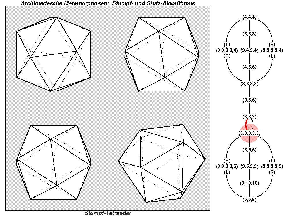 Archimedesche Metamorphosen: Stumpf- und Stutz-Algorithmus (0843)