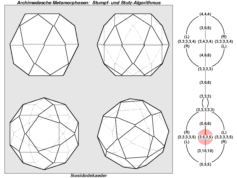 Archimedesche Metamorphosen: Stumpf- und Stutz-Algorithmus (0993)