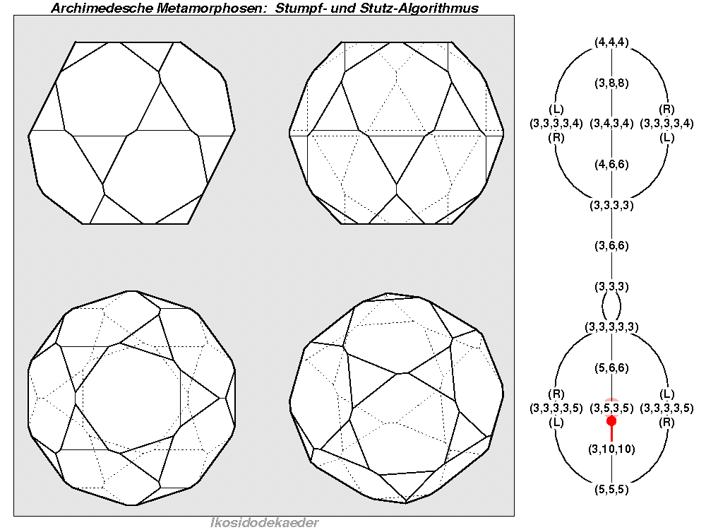 Archimedesche Metamorphosen: Stumpf- und Stutz-Algorithmus (1023)