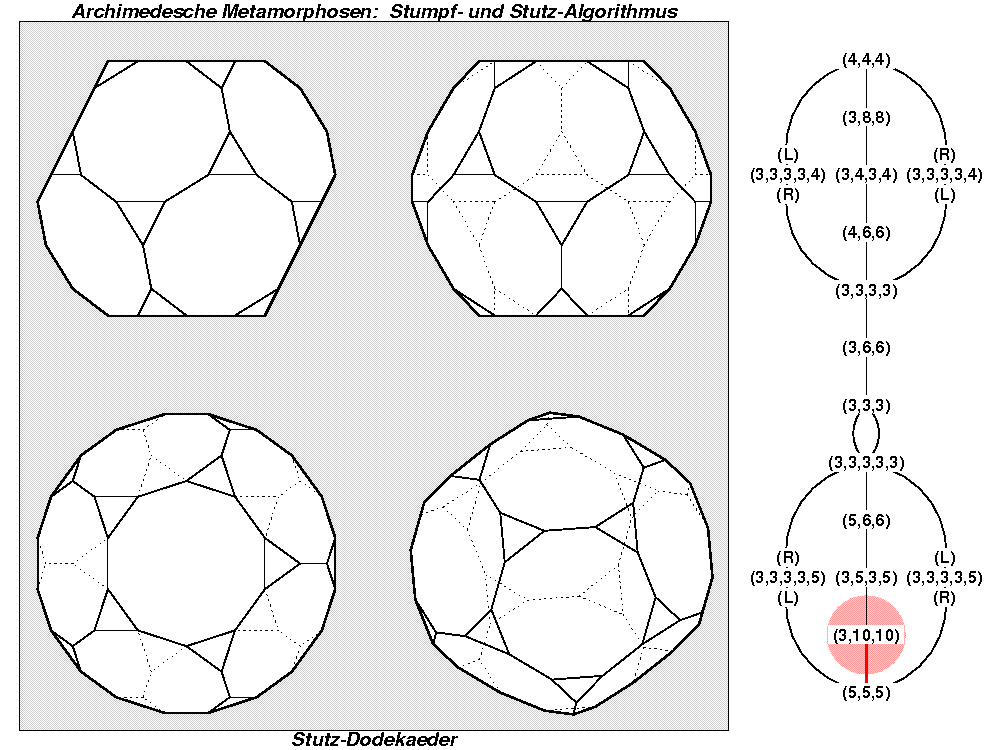Archimedesche Metamorphosen: Stumpf- und Stutz-Algorithmus (1053)