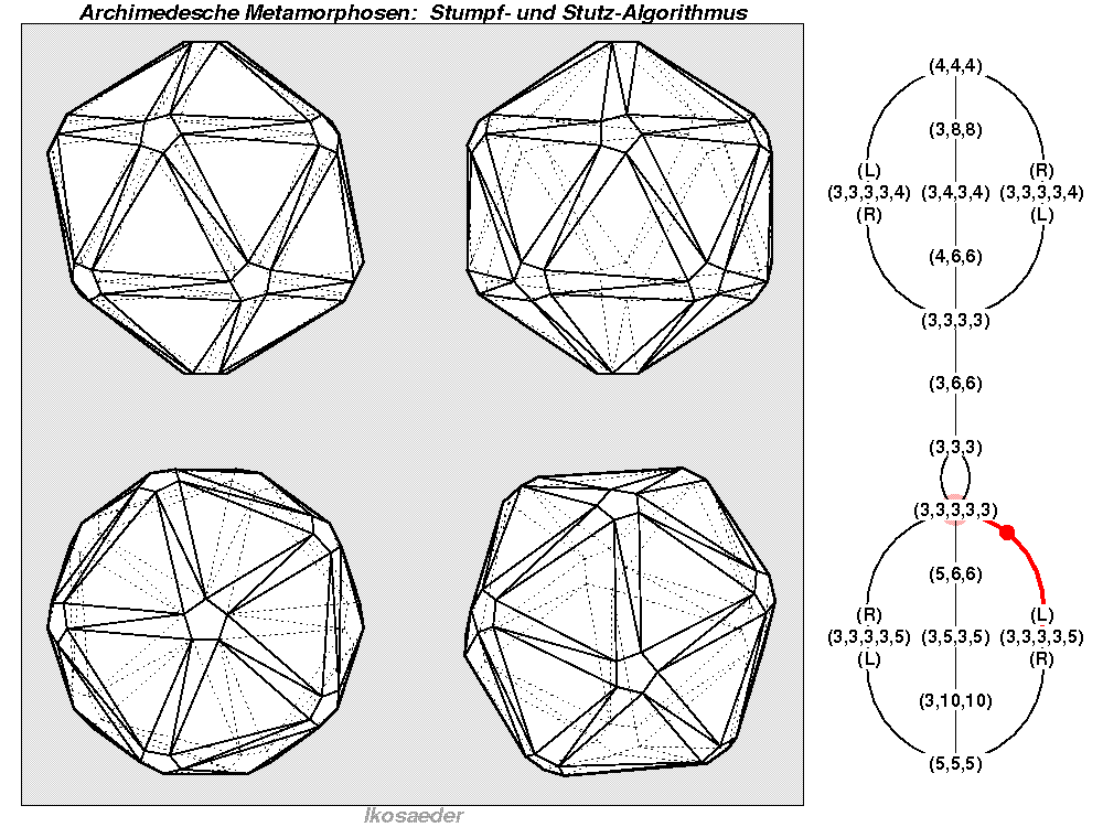Archimedesche Metamorphosen: Stumpf- und Stutz-Algorithmus (1184)