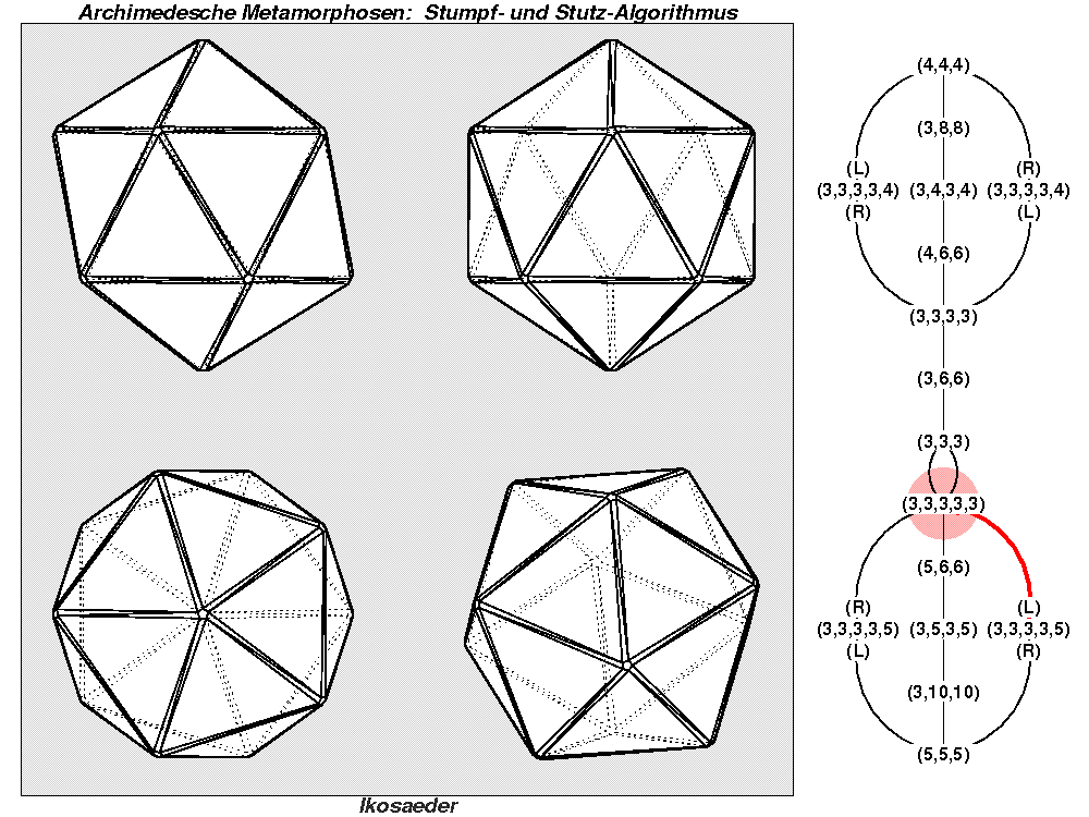 Archimedesche Metamorphosen: Stumpf- und Stutz-Algorithmus (1194)