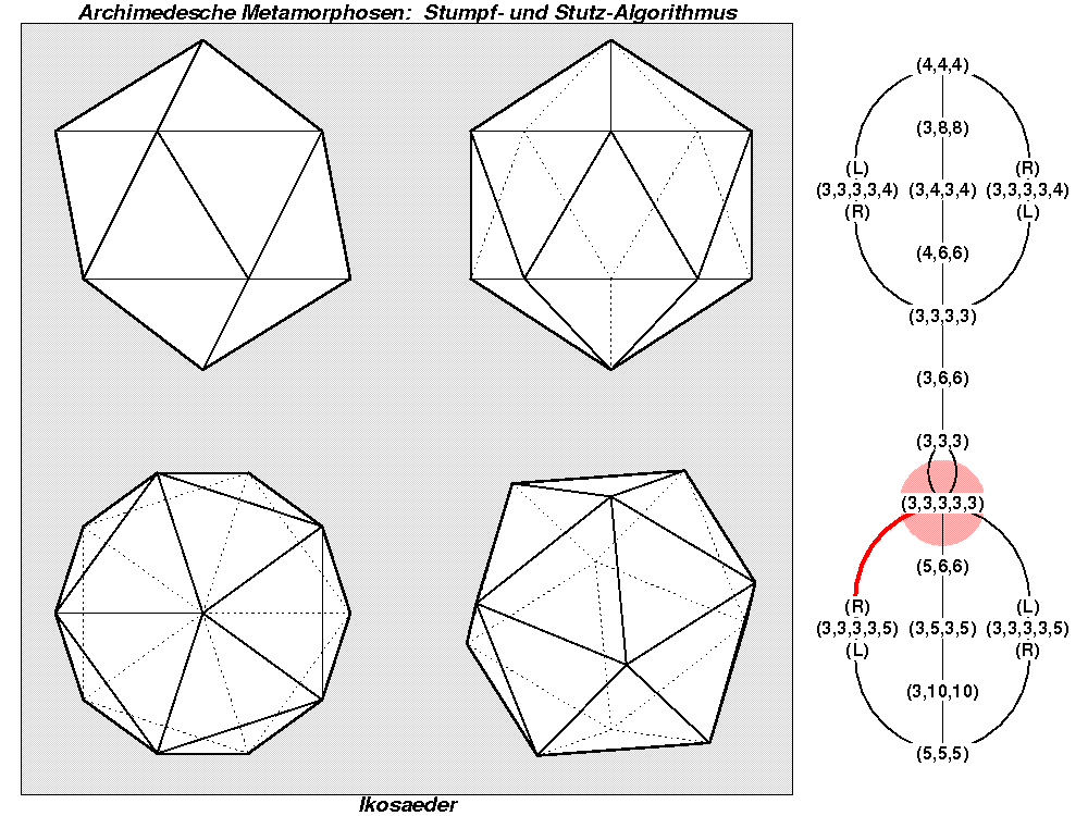 Archimedesche Metamorphosen: Stumpf- und Stutz-Algorithmus (1204)
