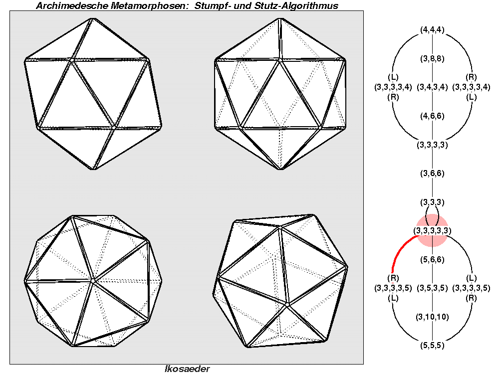 Archimedesche Metamorphosen: Stumpf- und Stutz-Algorithmus (1214)