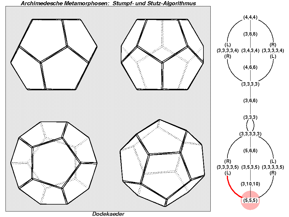 Archimedesche Metamorphosen: Stumpf- und Stutz-Algorithmus (1295)