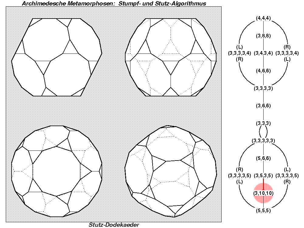 Archimedesche Metamorphosen: Stumpf- und Stutz-Algorithmus (1365)