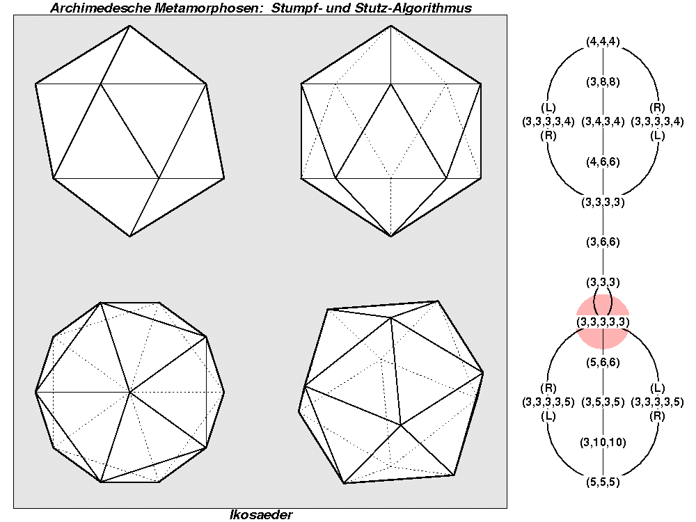 Archimedesche Metamorphosen: Stumpf- und Stutz-Algorithmus (1505)