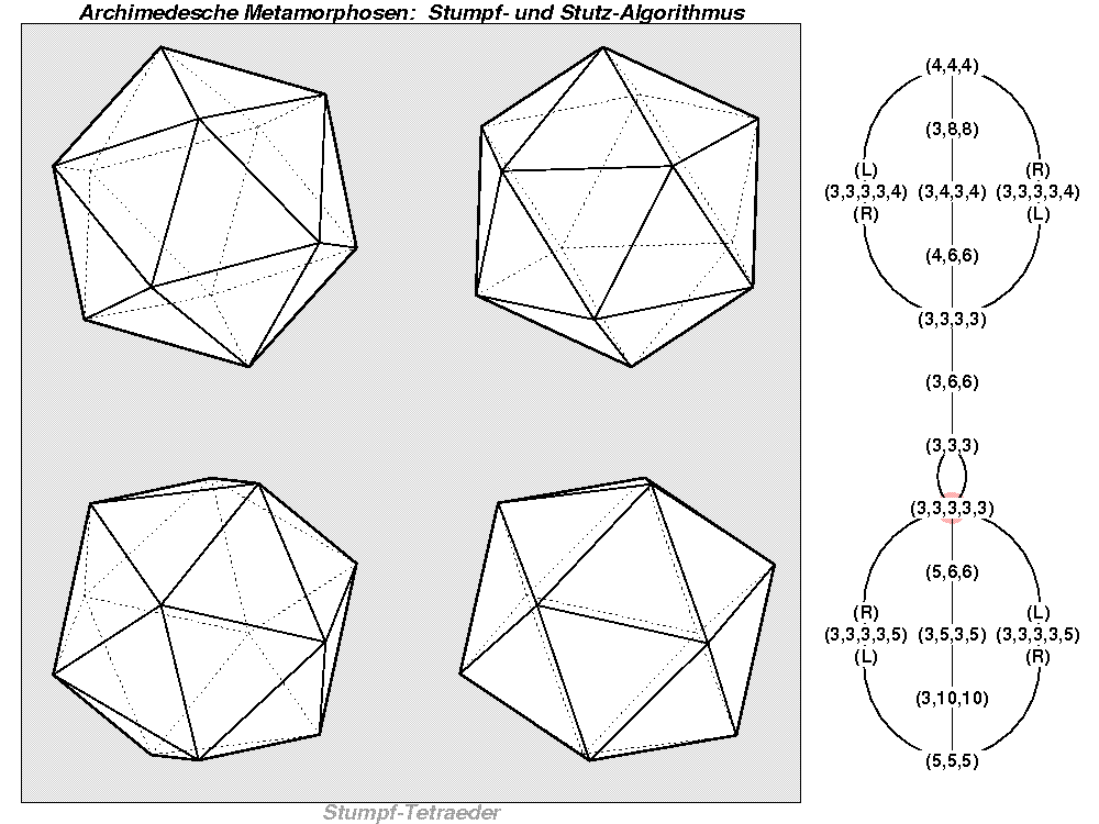 Archimedesche Metamorphosen: Stumpf- und Stutz-Algorithmus (1535)