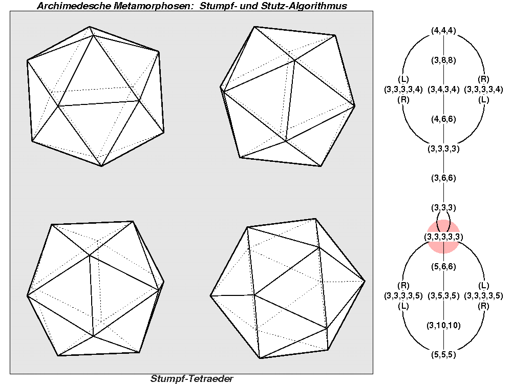 Archimedesche Metamorphosen: Stumpf- und Stutz-Algorithmus (1545)