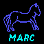 MARC-Icon