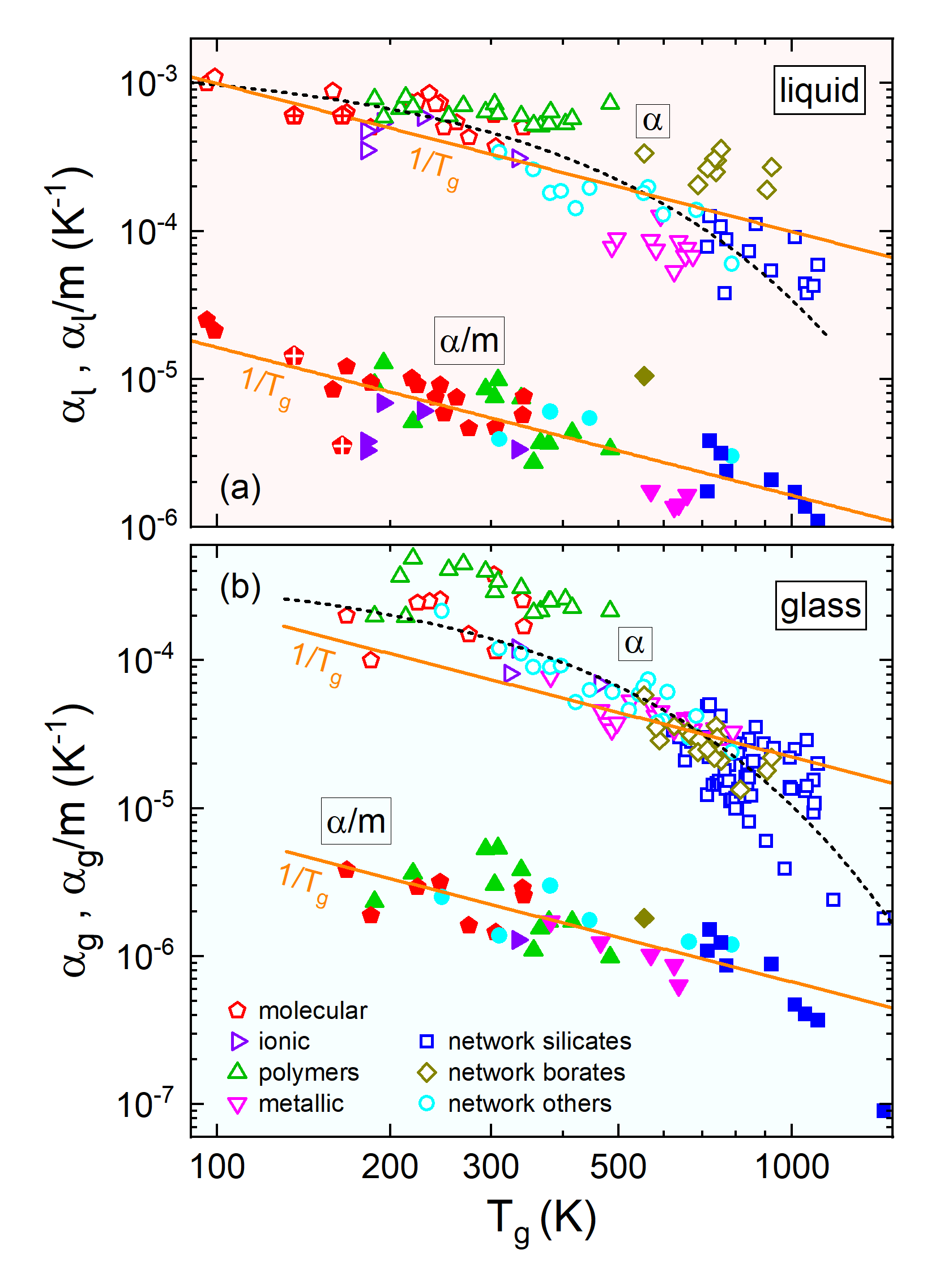 Correlation of thermal expansion with Tg