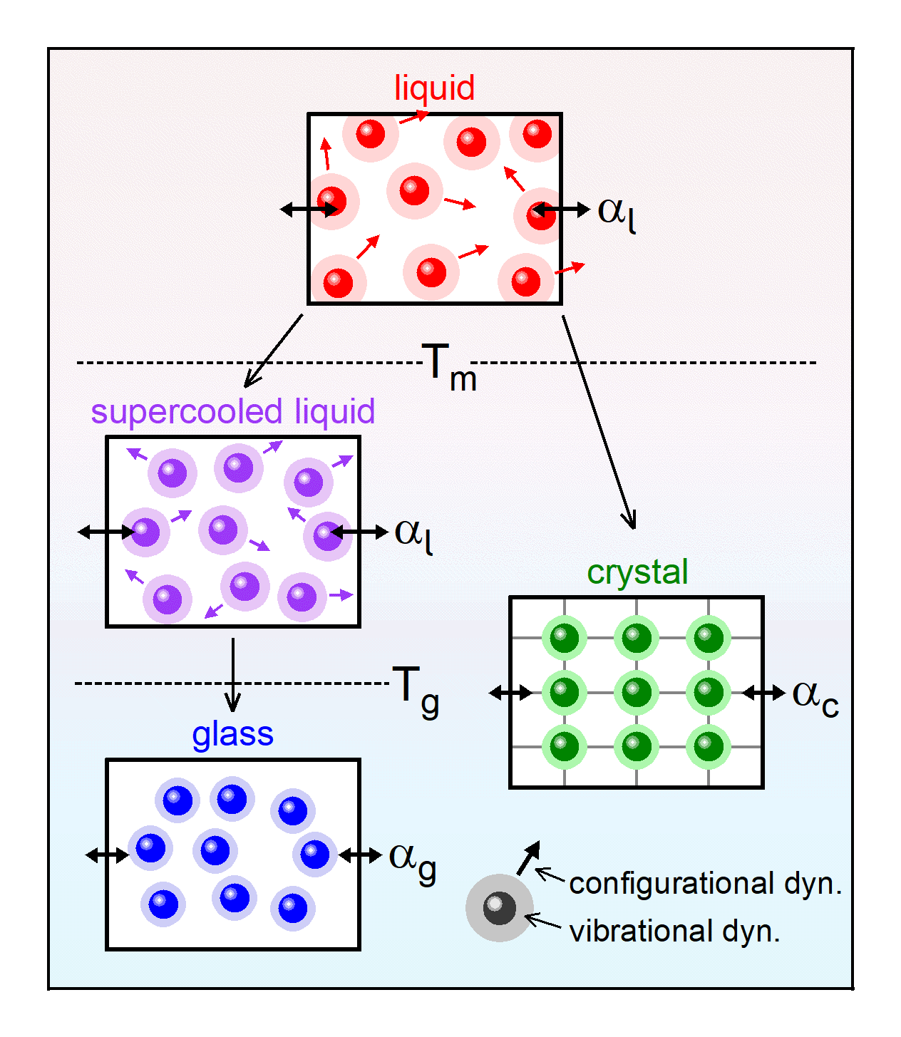 Schematic mechanisms of thermal expansion